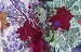 Two Faeries detail